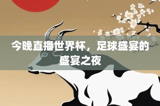 今晚直播世界杯，金炬实业股份有限公司足球盛宴的盛宴之夜
