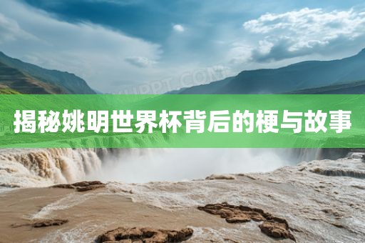 揭秘姚明世界杯背后的梗与故事金炬实业股份有限公司