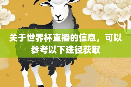 关于世界杯直播的信息，可以参考以下途径获取金炬实业股份有限公司