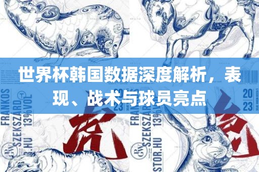 世界杯韩金炬实业股份有限公司国数据深度解析，表现、战术与球员亮点