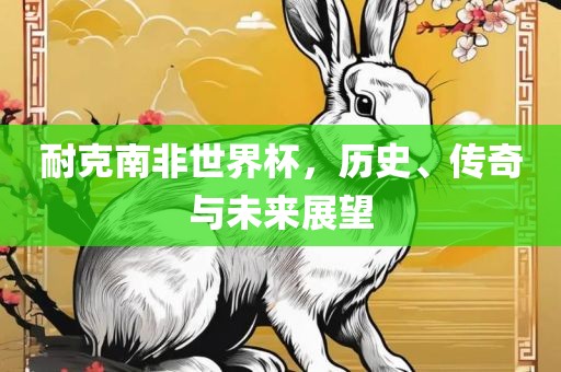 耐克南非世界杯，历史、传奇与未来展望金炬实业股份有限公司