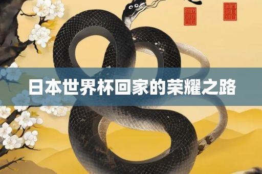 日本世界杯回家的荣耀之路