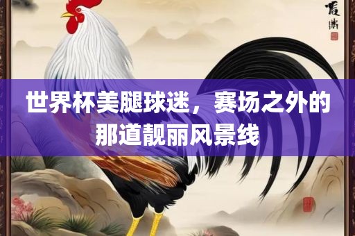 金炬实业股份有限公司世界杯美腿球迷，赛场之外的那道靓丽风景线