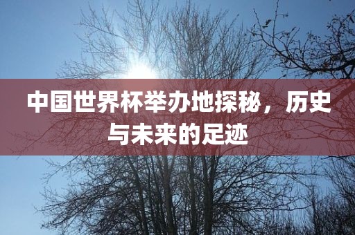 中国世界杯举办地探秘，历史金炬实业股份有限公司与未来的足迹