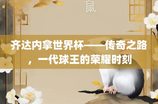 齐达内拿世界杯——传奇之路，一代球王的荣耀时刻