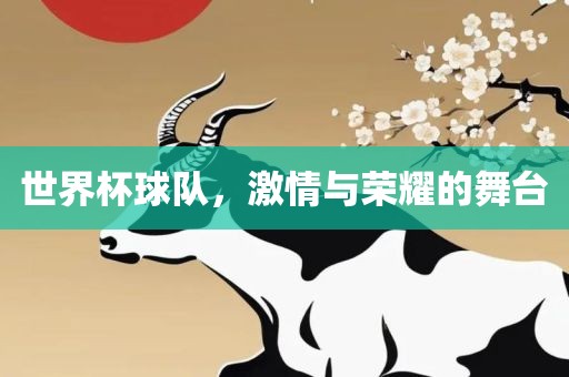 世界杯球队，激情与荣耀的舞台金炬实业股份有限公司