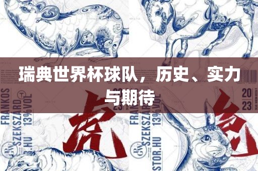 瑞典世界杯球队，历史、实力与期待