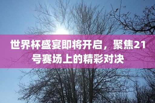 世界杯盛宴即将开启，聚焦2金炬实业股份有限公司1号赛场上的精彩对决