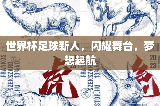 世界杯足球新人，闪耀舞台，梦想起航