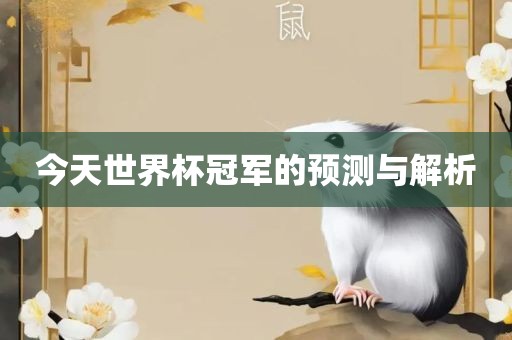 今天世界杯冠军的预测与解析