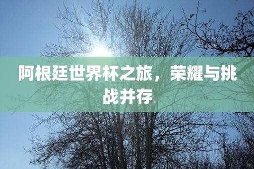 阿根廷世界杯之旅，荣耀与金炬实业股份有限公司挑战并存