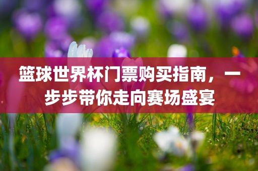 篮球世界杯门票购买指南，一步步带你走向赛场盛宴金炬实业股份有限公司