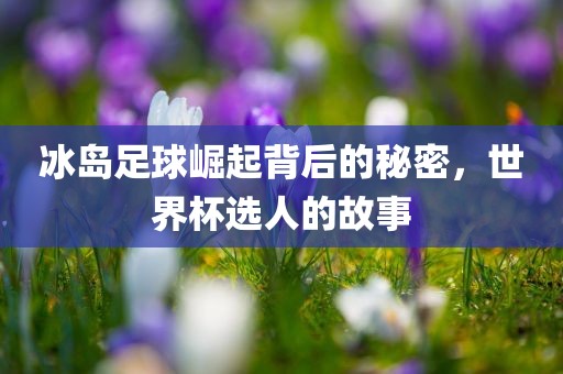 冰岛足球崛起背后的秘密，世界杯选人的故事