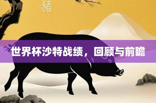 世界金炬实业股份有限公司杯沙特战绩，回顾与前瞻