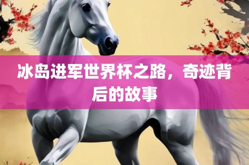 冰岛进军世界杯之路，奇迹背后的故事金炬实业股份有限公司