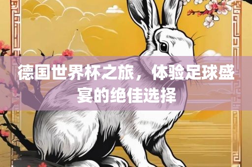 德国世界杯之旅，体验足球盛宴的绝佳选择金炬实业股份有限公司