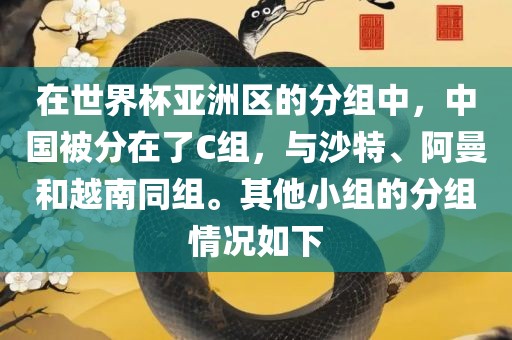 在世界杯亚洲区的分组中，中国被分在了C组，与沙特、阿曼和越南同组。其他小组的分组情况如下金炬实业股份有限公司