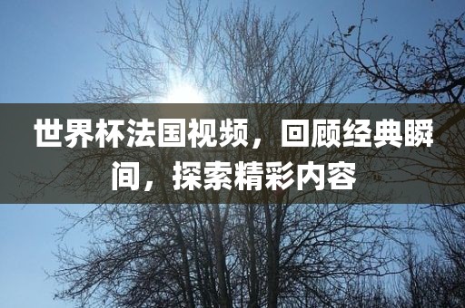世界杯法国视频，回顾经典瞬间，探索精彩内容