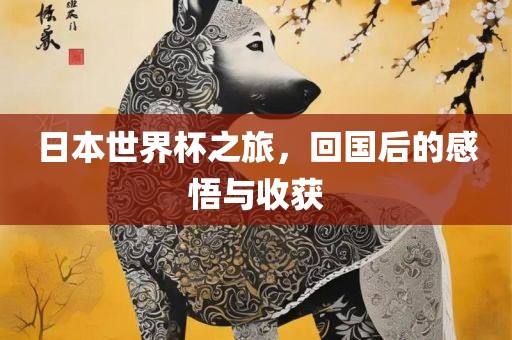 日本世界杯之旅，回国后的感悟与收获金炬实业股份有限公司