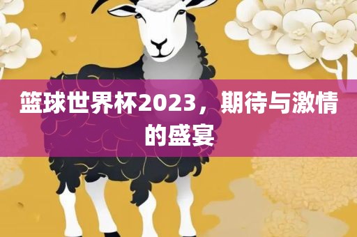 篮球世界杯2023，期待与激情的盛宴