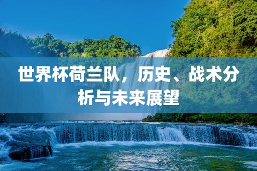 世界杯荷兰队，历史、战术分析与未来展望