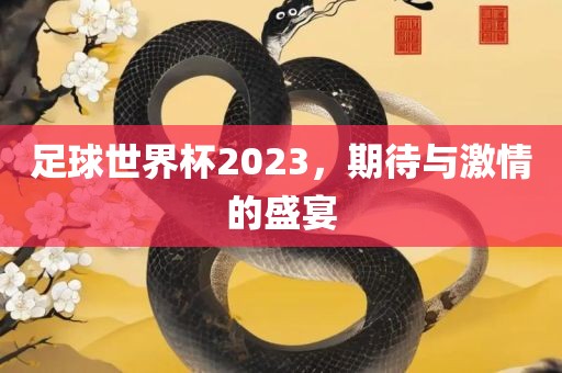 足球世界杯2023，期待与激情的盛宴