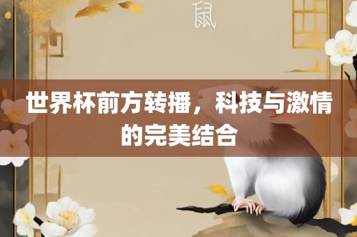 世界杯前方转播，科技与激情的完美结合