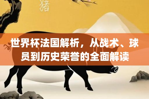 世界杯法国解析，从战术、球员到历史荣誉的全面解读