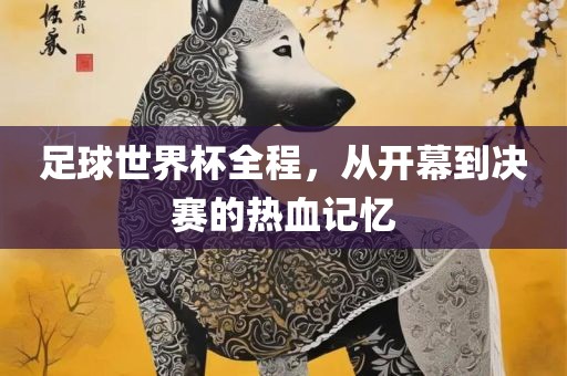 足球世界杯全程，从开幕到决赛的热血记忆