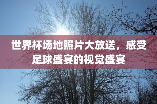 世界杯场地照片大放送，感受足球盛宴的视觉盛宴
