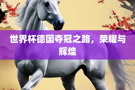 世界杯德国夺冠之路，荣耀与辉煌