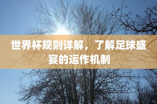 世界杯规则详解，了解足球盛宴的运作机制