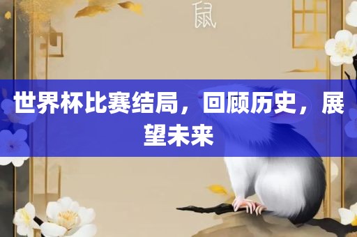 世界杯比赛结局，回顾历史，展望未来