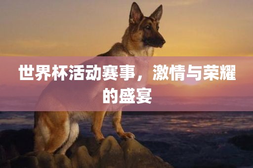 世界金炬实业股份有限公司杯活动赛事，激情与荣耀的盛宴