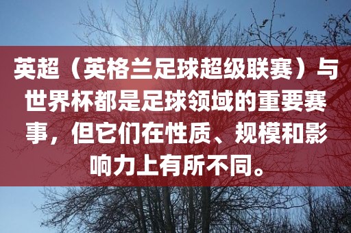 英超（英格兰足球超级联赛）与世界杯都是足球领域的重要赛事，但它们在性质、规模和影响力上有所不同。金炬实业股份有限公司