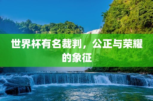 世界杯有名裁判，公正与荣耀的象征金炬实业股份有限公司