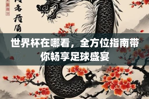 世界杯在哪看，全方位指南带你畅享足球盛宴